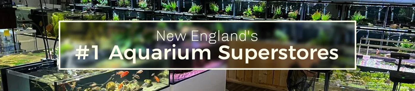 OSA Aquarium Superstore and Services photo 7