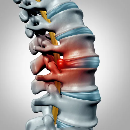 Synergy Wellness Chiropractic & Physical Therapy PLLC photo 2