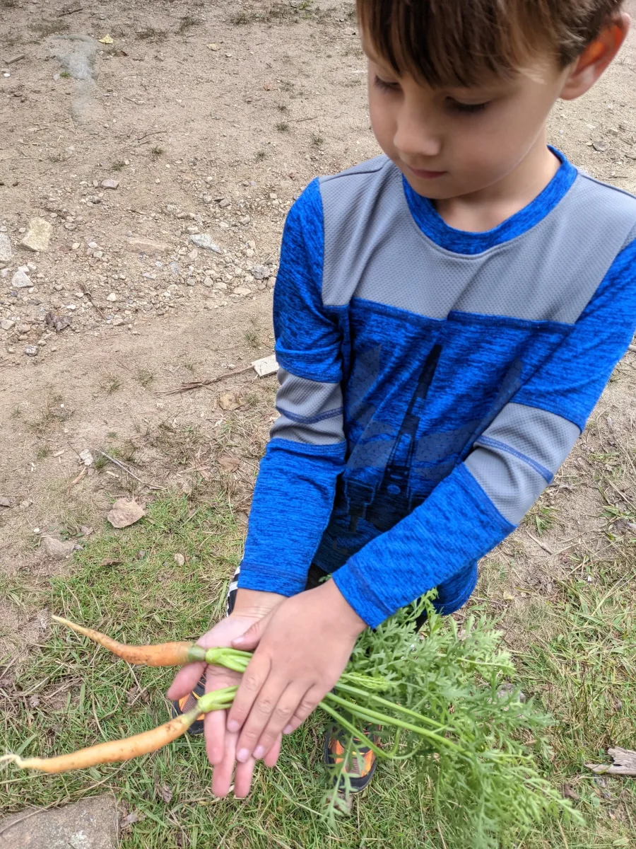 Serendipity Farm photo 7