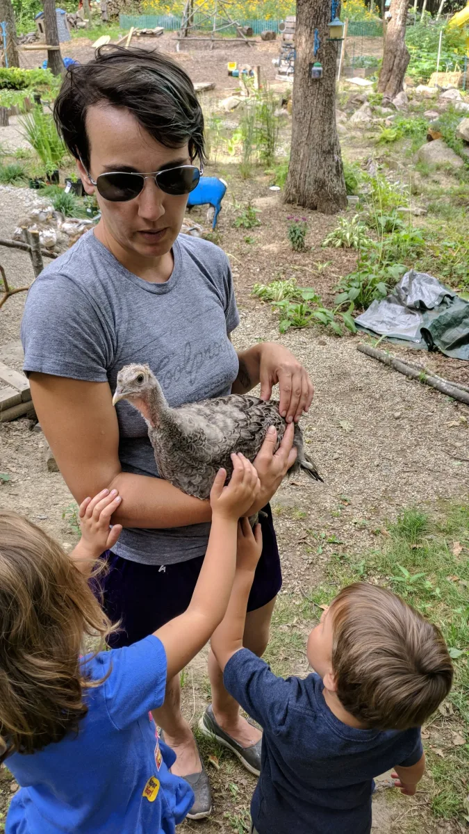 Serendipity Farm photo 2