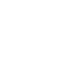TM Custom logo