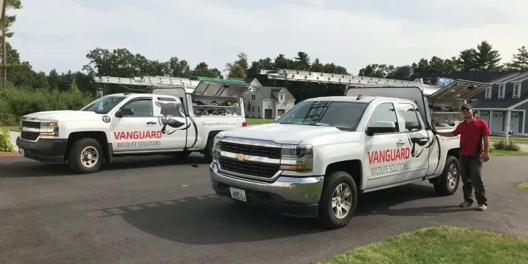 Vanguard Wildlife Solutions photo 4