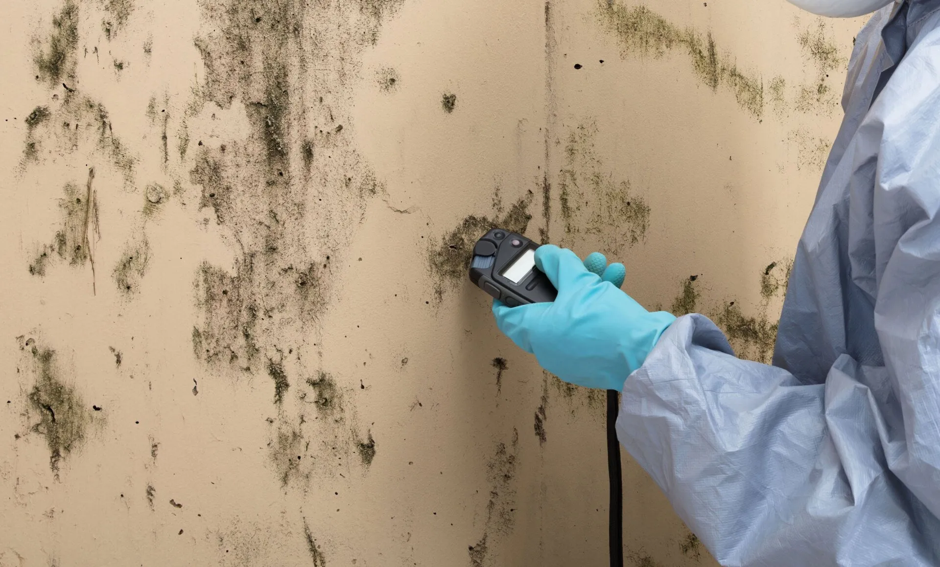 CLS Mold Testing