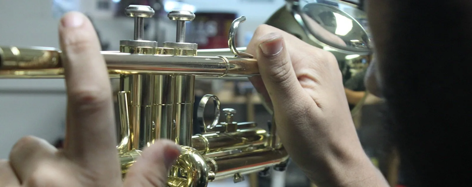 Rick's Musical Instruments photo 3