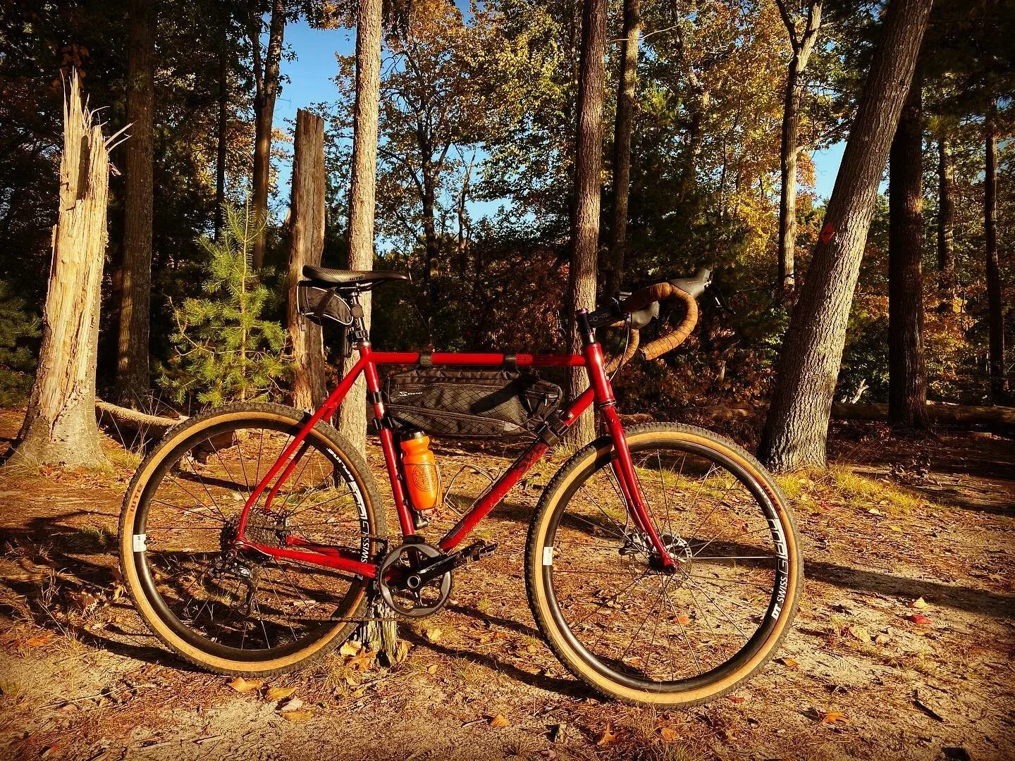 Blackstone Bicycles photo 9