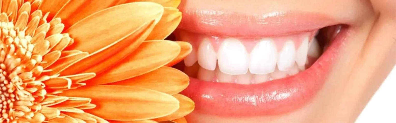 Larchmont Dental Associates photo 6