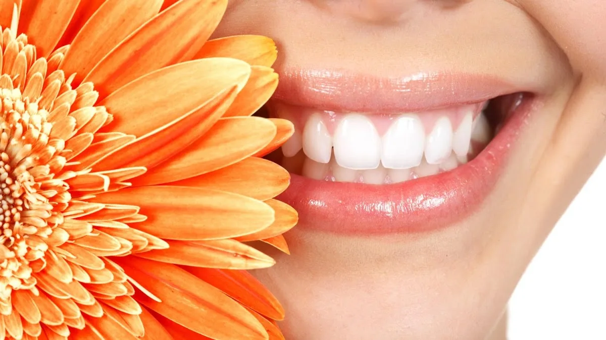 Larchmont Dental Associates photo 2
