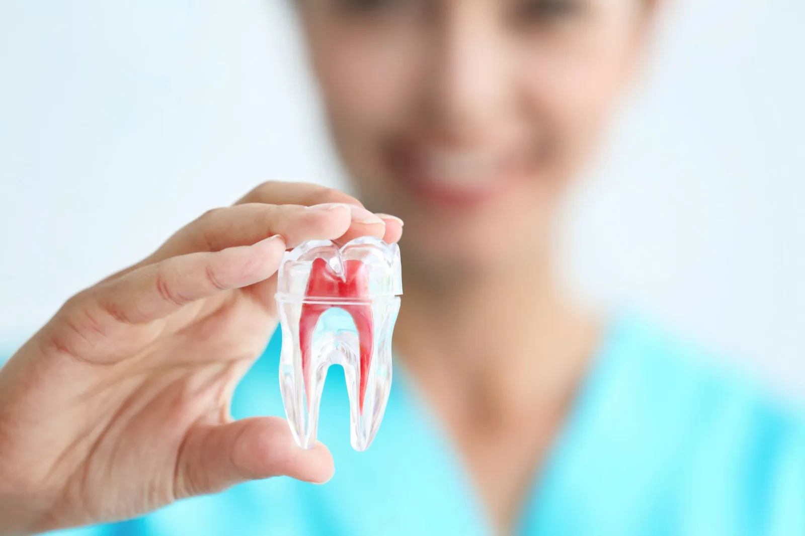 Larchmont Dental Associates