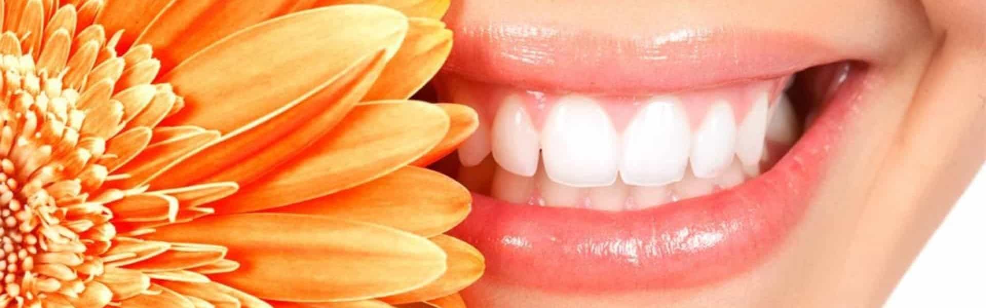Larchmont Dental Associates