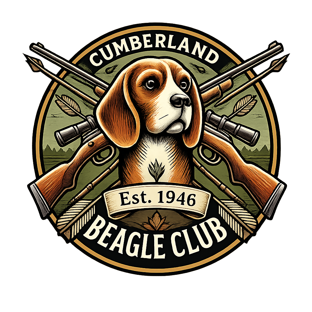 Cumberland Beagle Club photo 2
