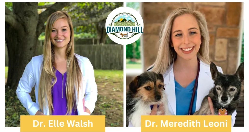 Diamond Hill Animal Clinic photo 8