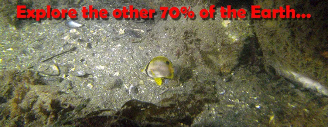 Dive On It Scuba