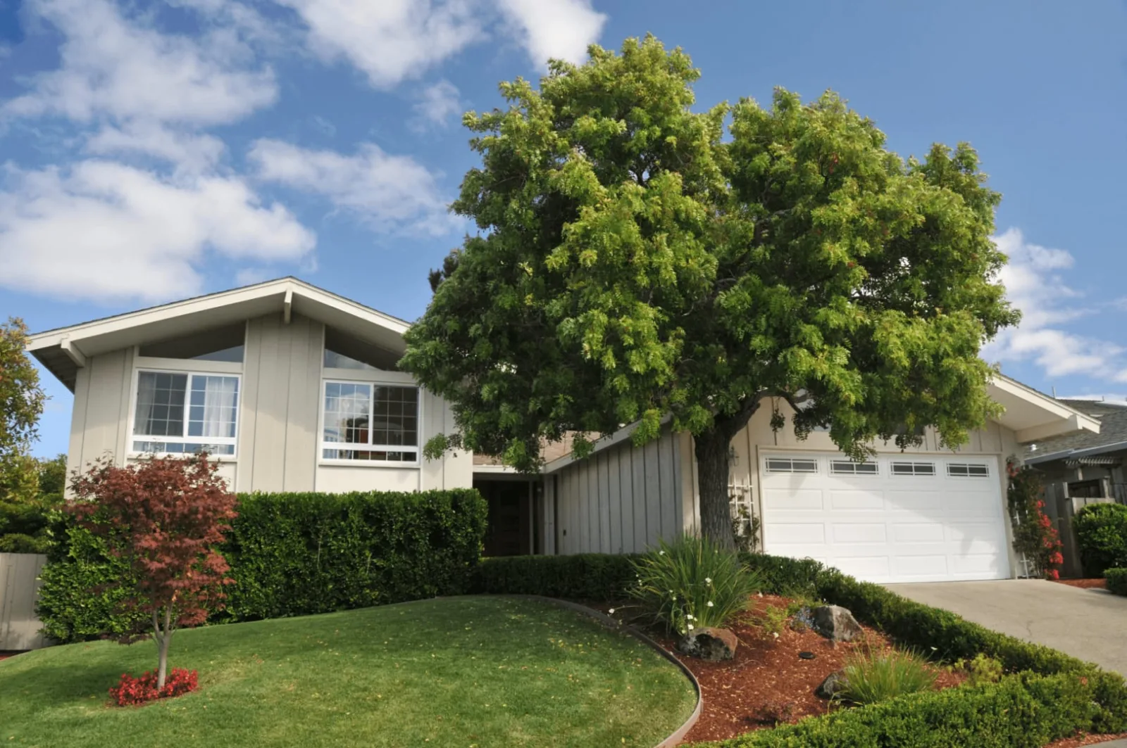 Dolan O'Rourke Real Estate Services photo 2