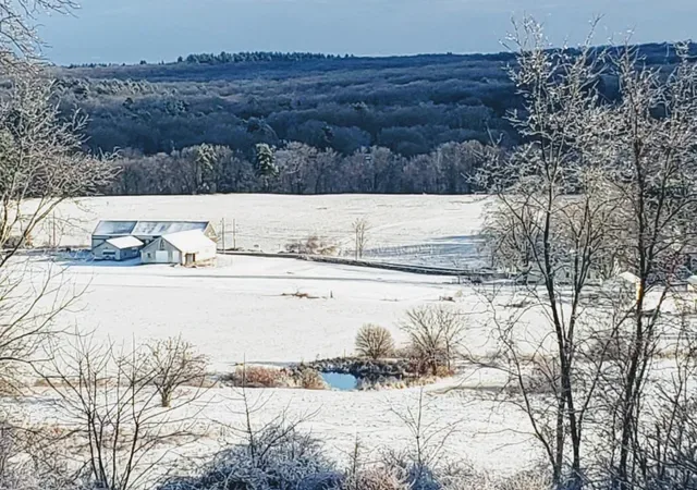 Franklin Farm photo 8