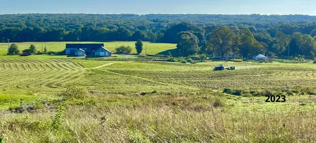 Franklin Farm photo 4