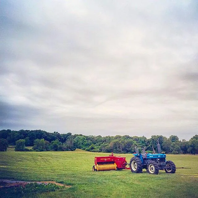 Franklin Farm