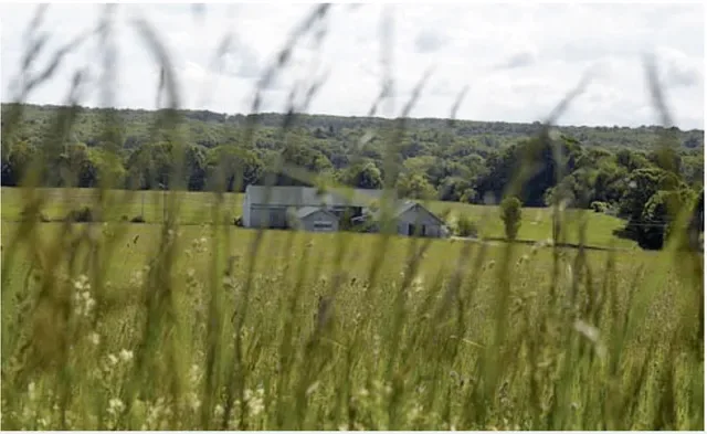 Franklin Farm photo 6