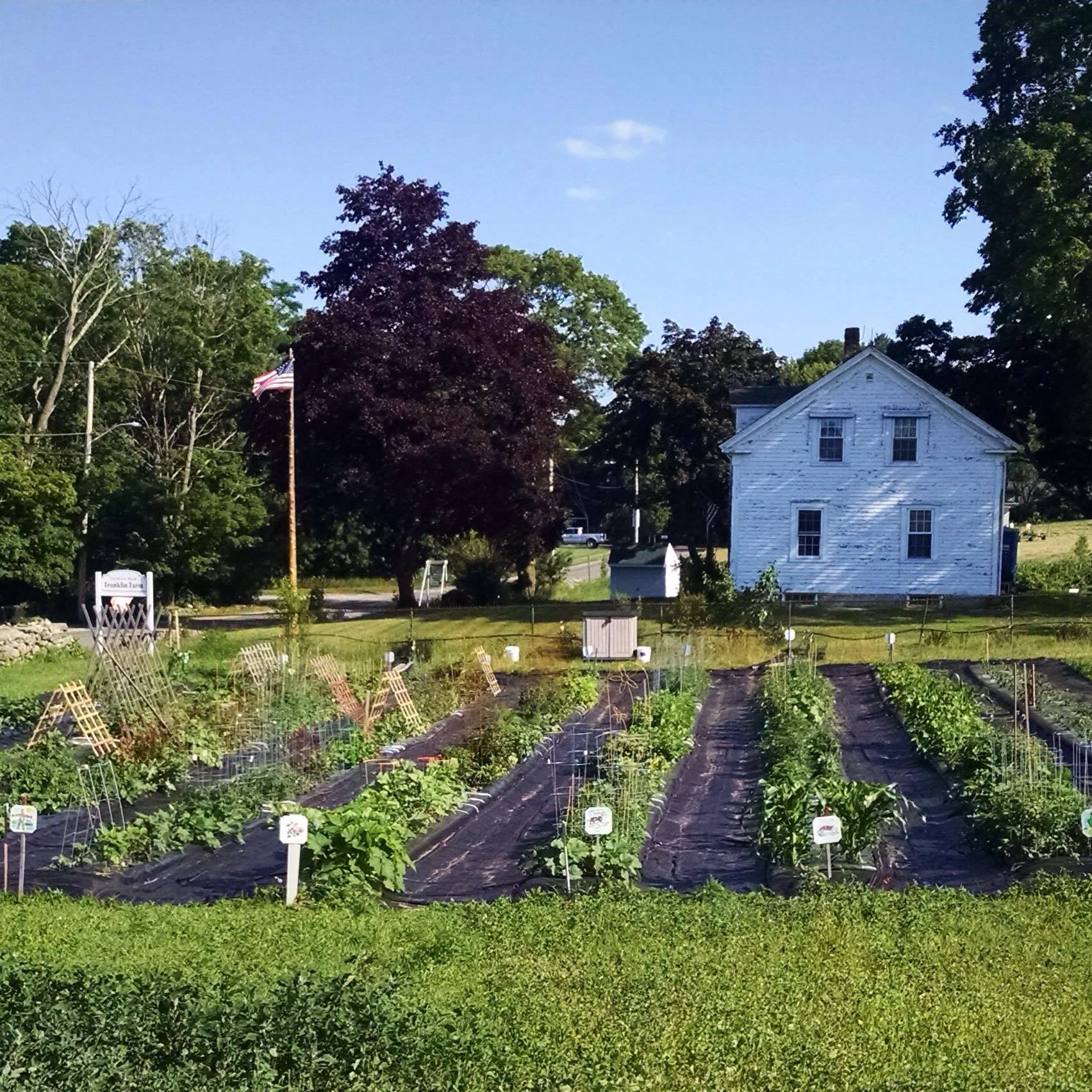 Franklin Farm photo 3
