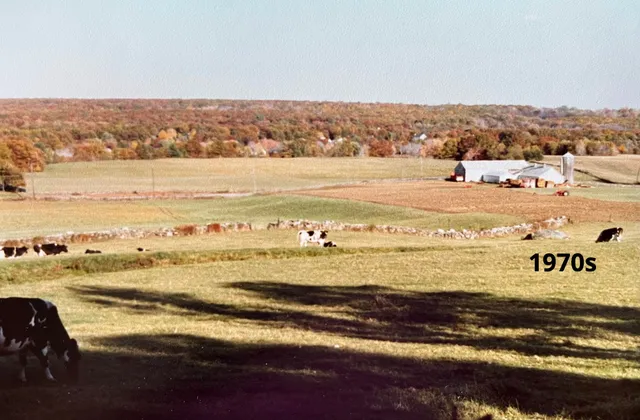 Franklin Farm photo 2
