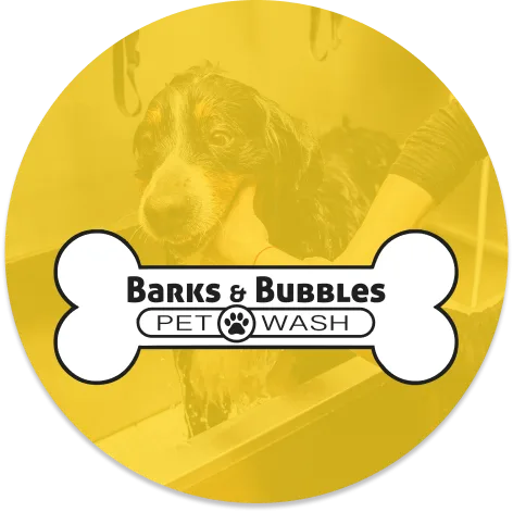 Golden Nozzle Car Wash photo 2
