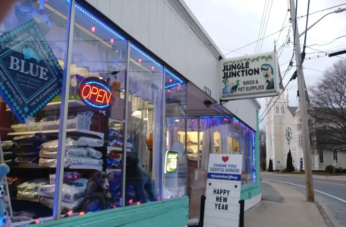 Jungle Junction photo 2