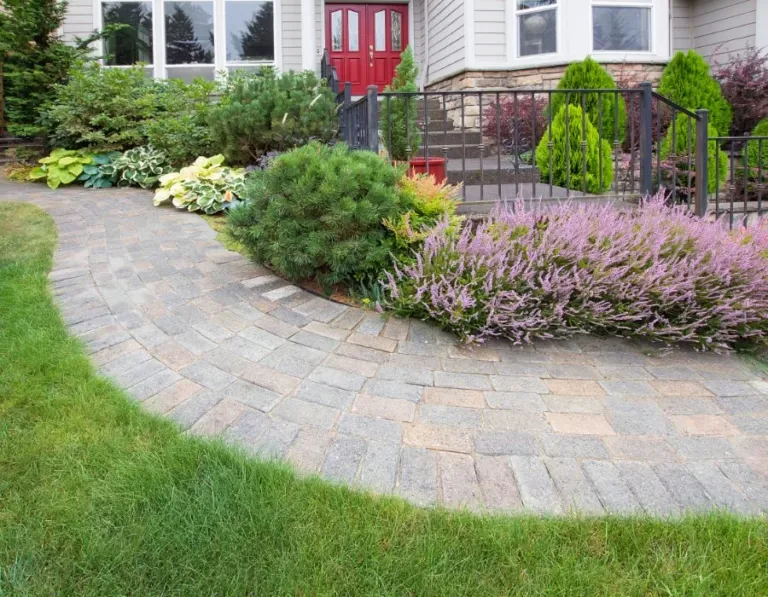 Landscape Solutions photo 6