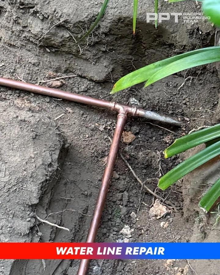 Pacific Plumbing Team photo 2
