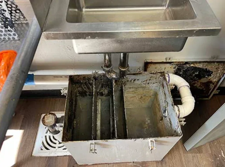 Lords of Plumbing photo 3