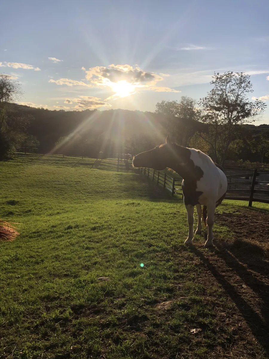 Murfield Farm, LLC photo 5