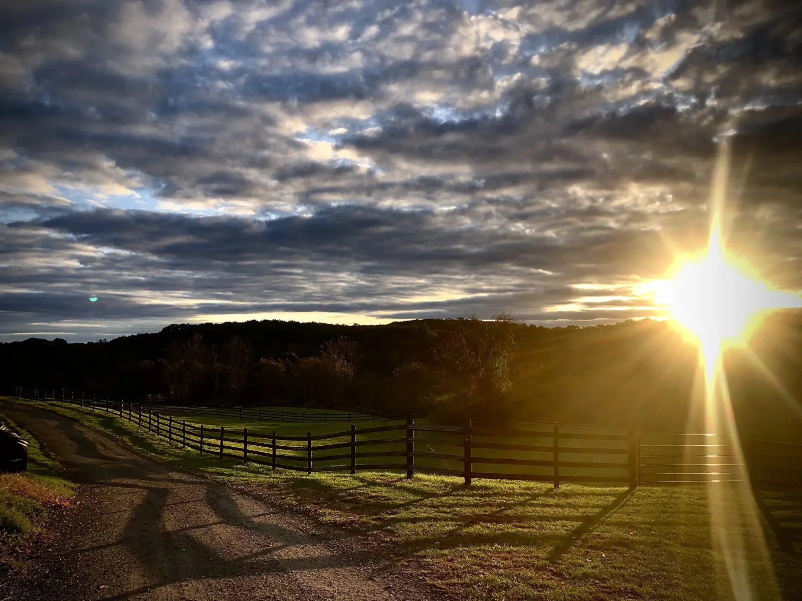 Murfield Farm, LLC photo 6