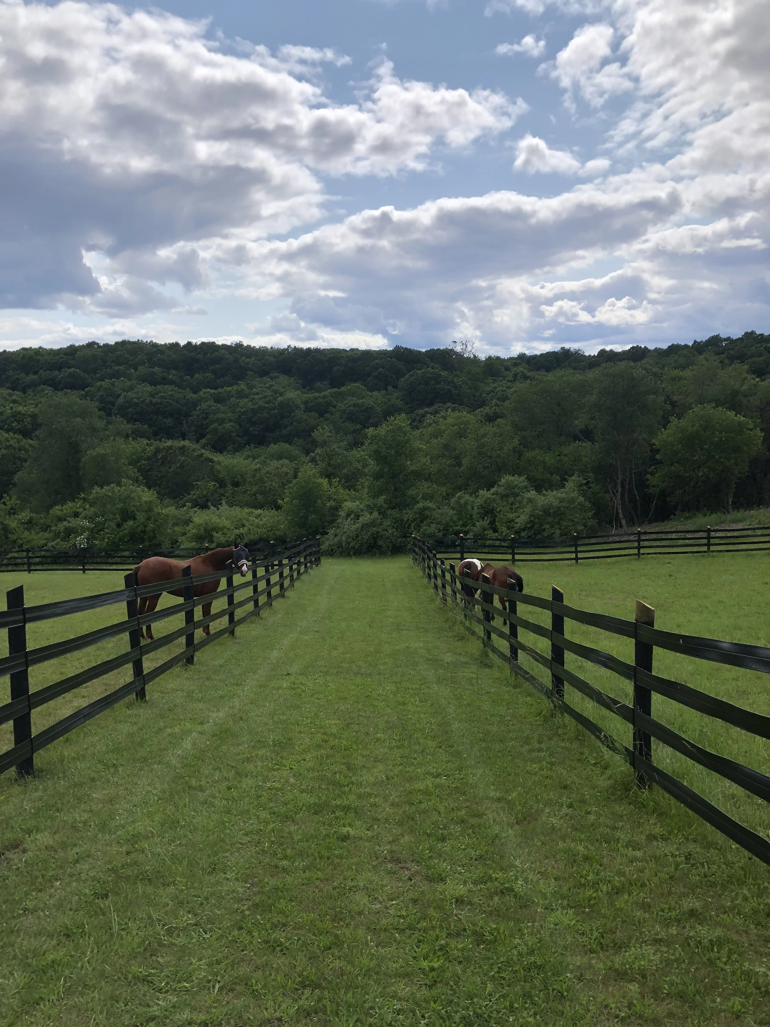 Murfield Farm, LLC photo 3