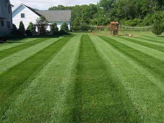 N.R.I. Landscaping photo 8