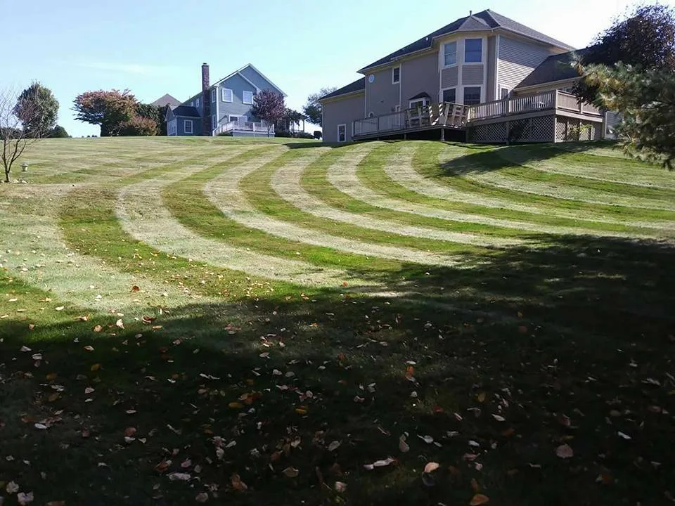N.R.I. Landscaping photo 3