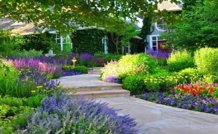 N.R.I. Landscaping photo 4