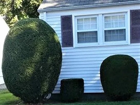 N.R.I. Landscaping photo 9