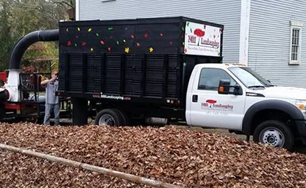 N.R.I. Landscaping photo 5
