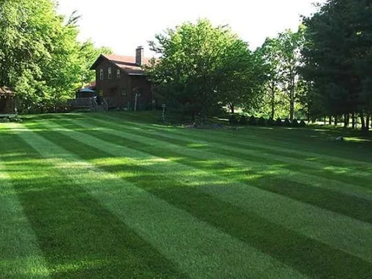 N.R.I. Landscaping photo 7
