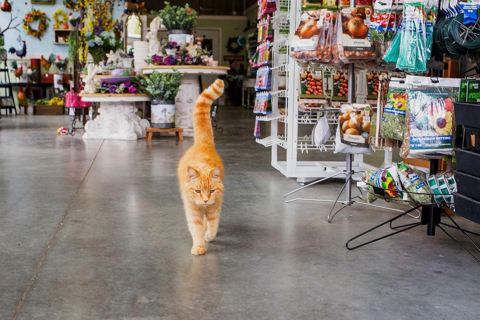Northland Farm & Garden Center photo 4