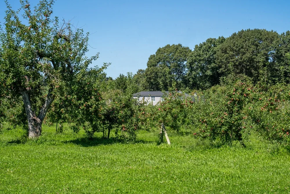 Phantom Farms photo 7