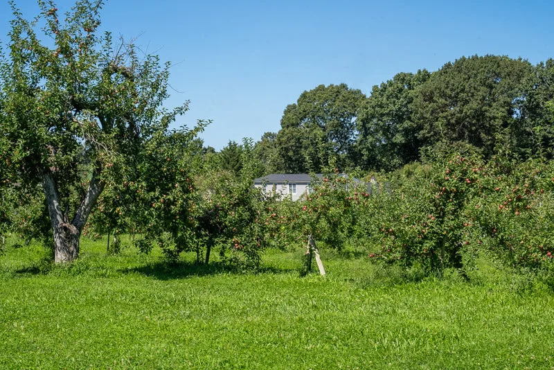 Phantom Farms photo 11