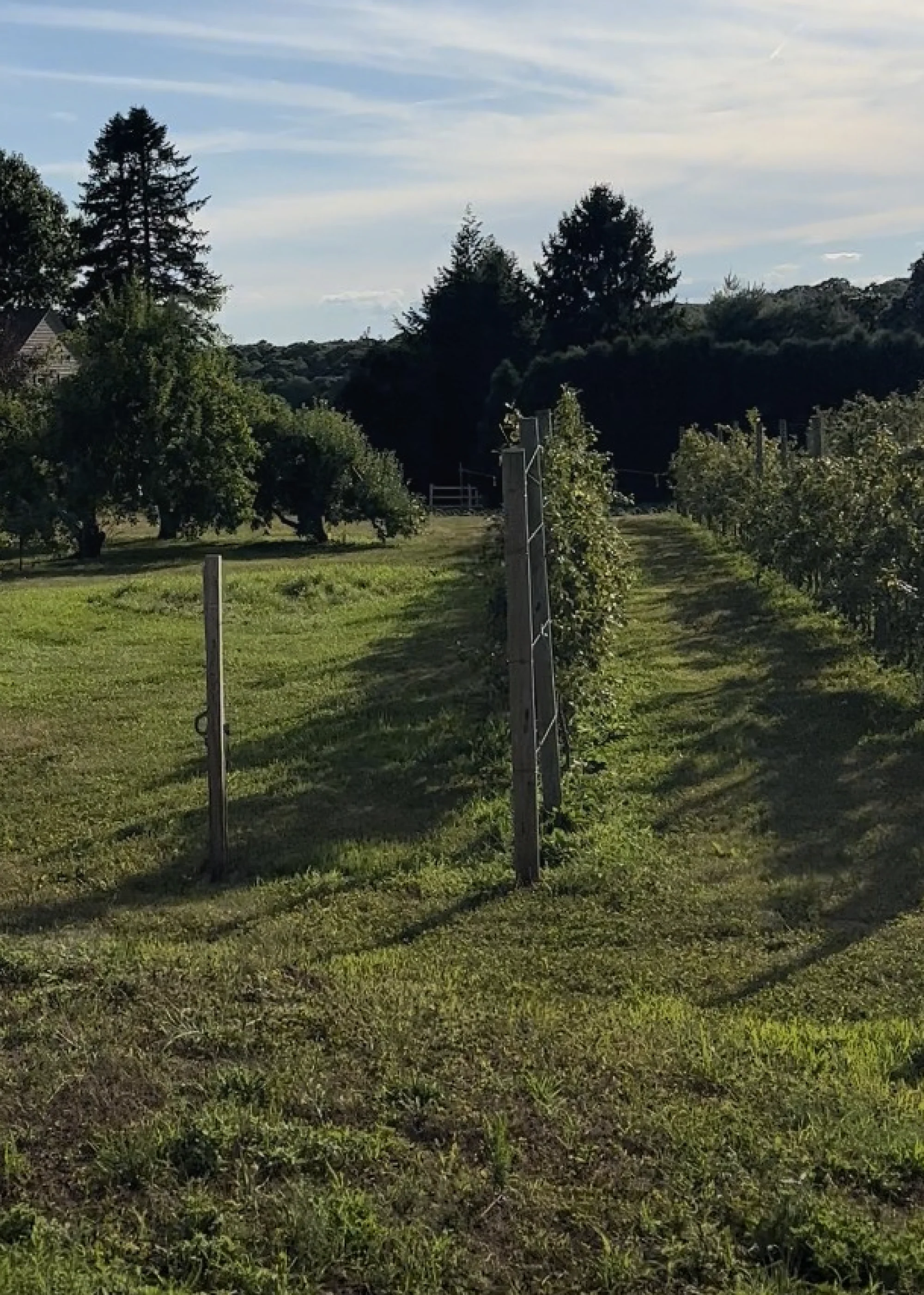 Phantom Farms photo 2
