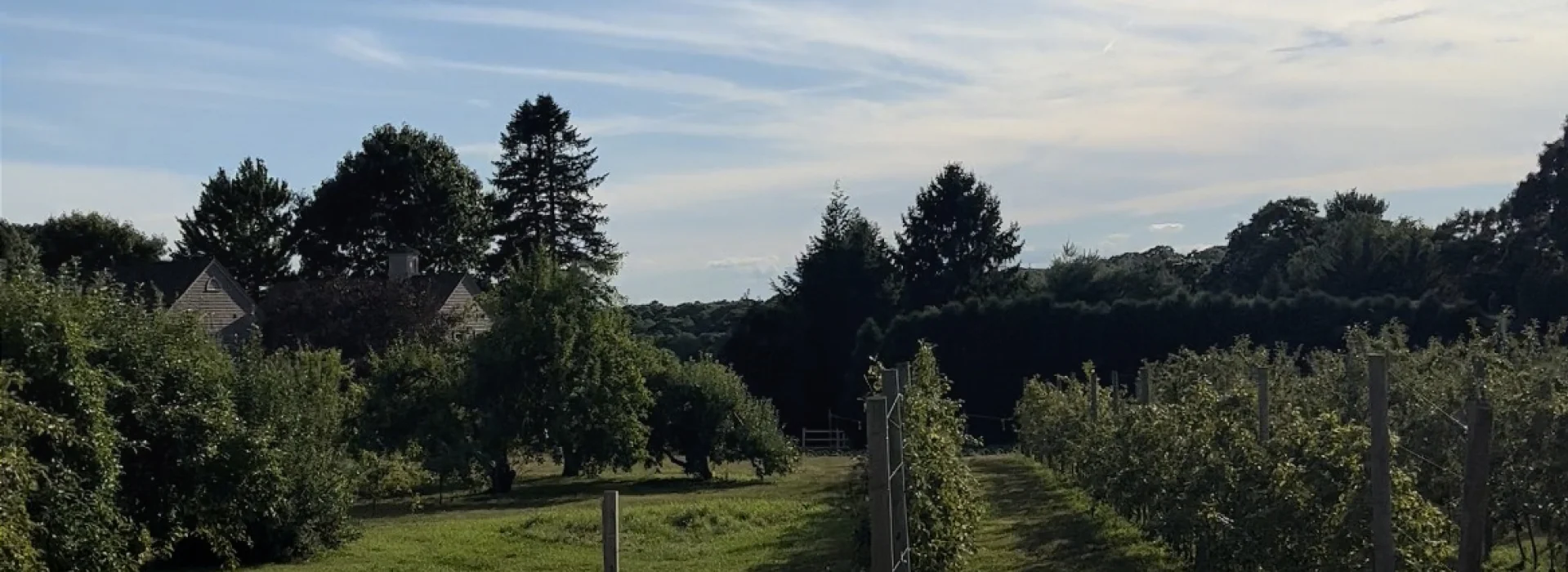 Phantom Farms