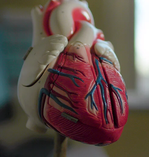Rhode Island Cardiovascular photo 3