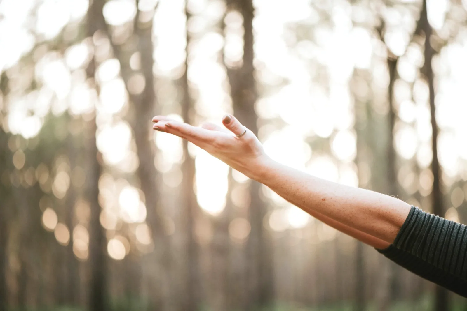 Time For You Yoga photo 6