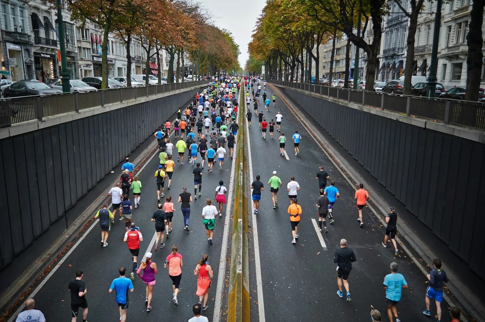 Haus of Fitness photo 7