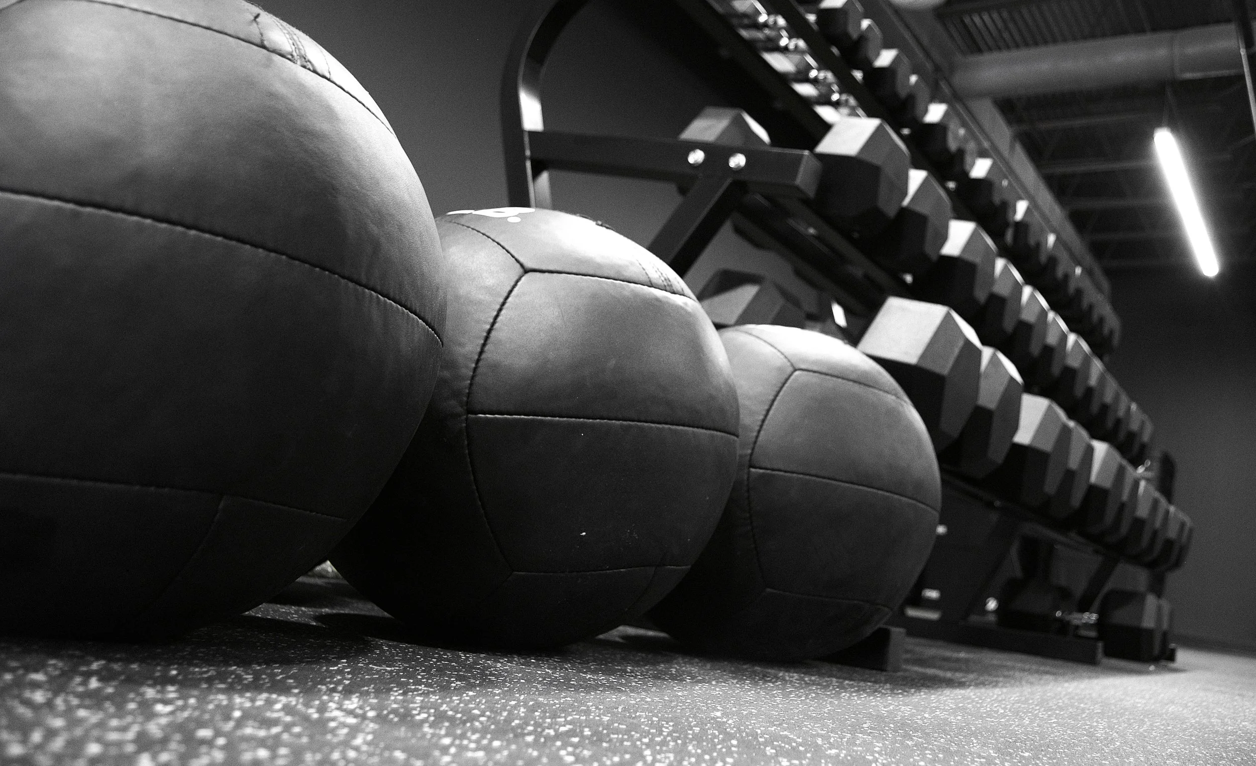 Haus of Fitness photo 2