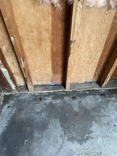 Sharpeye Home & Commercial Property Inspections photo 4