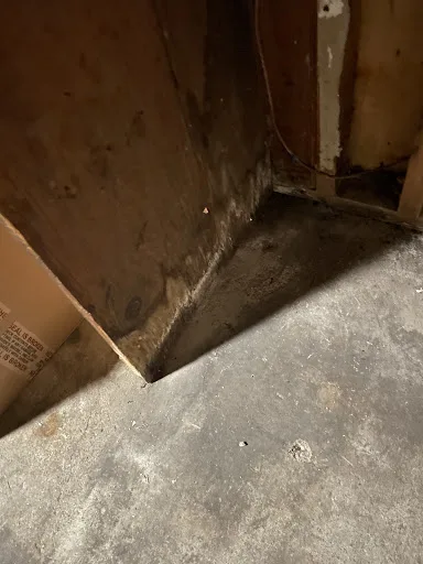 Sharpeye Home & Commercial Property Inspections photo 7
