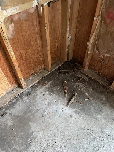 Sharpeye Home & Commercial Property Inspections photo 5