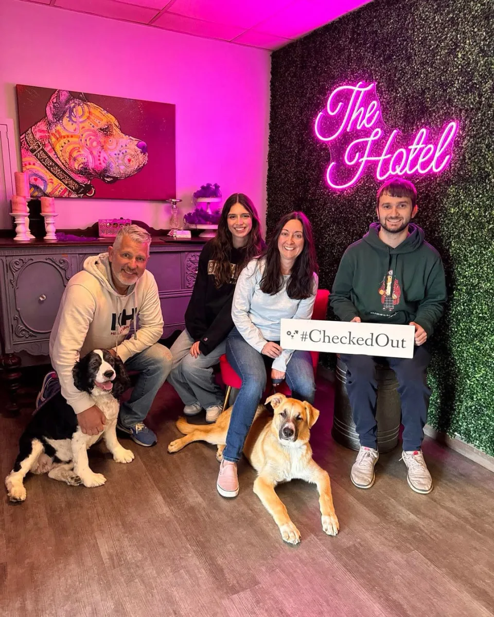 The Hotel For Homeless Dogs * New England Humane Society photo 7